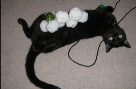 Charlie Balls